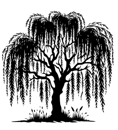 Willow Tree